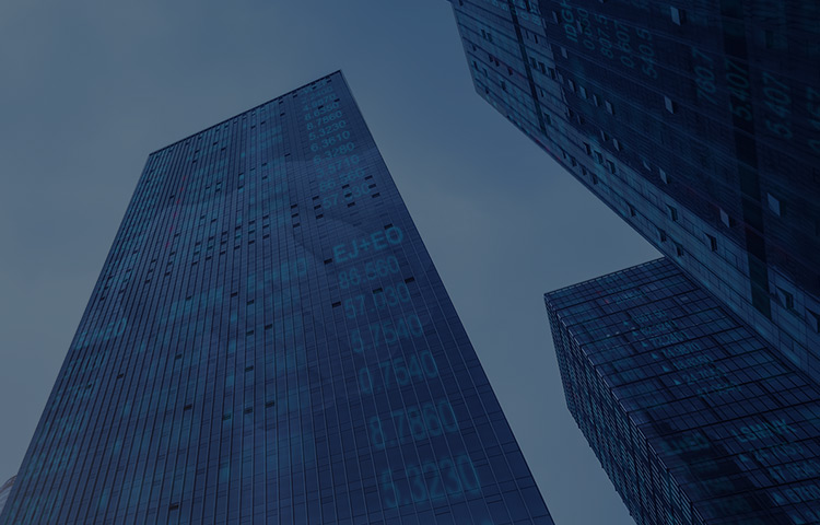 集團資金管理系統解決方案